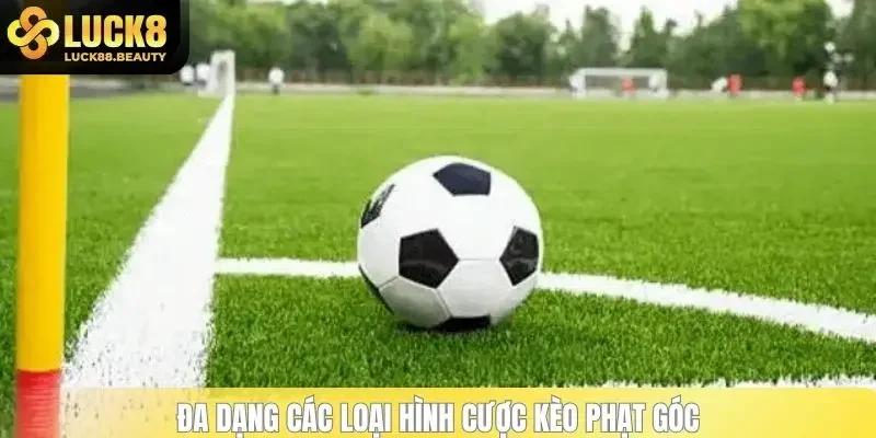 Đa dạng các loại hình cược kèo phạt góc