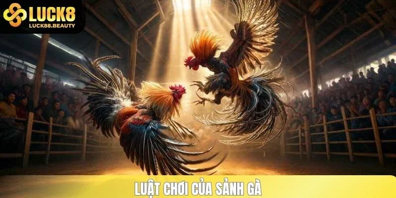 Luật chơi của sảnh gà