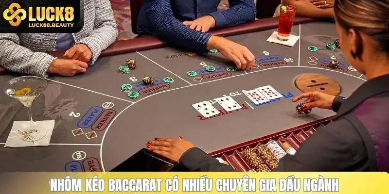 Nhóm kéo Baccarat có nhiều chuyên gia đầu ngành