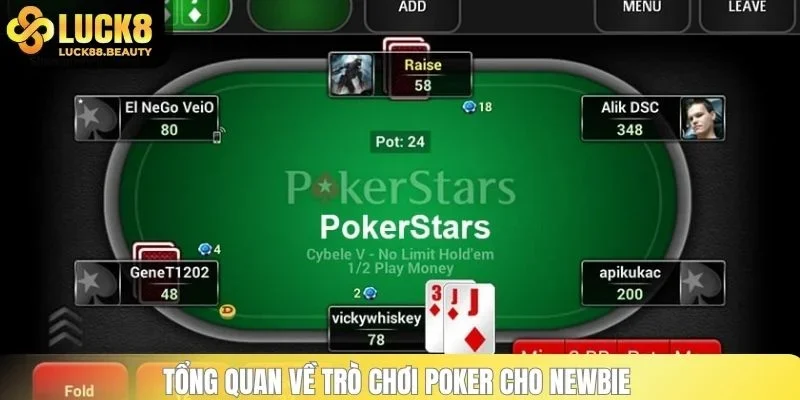 Tổng quan về trò chơi Poker cho newbie 